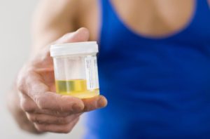 fake urine